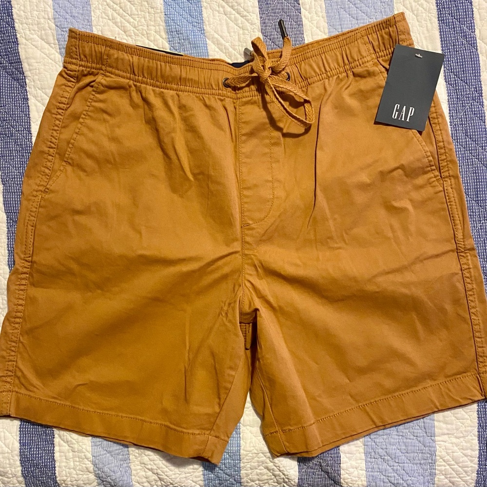 GAP Brown and Black Striped Waist Shorts